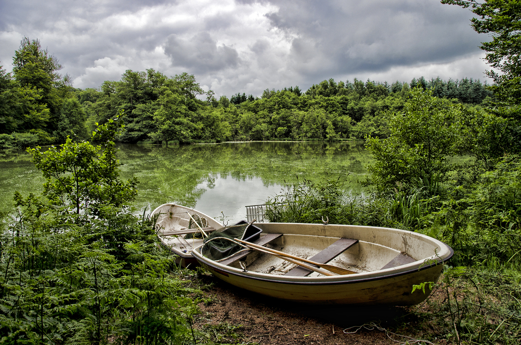 Dense nature, two boats and swamp