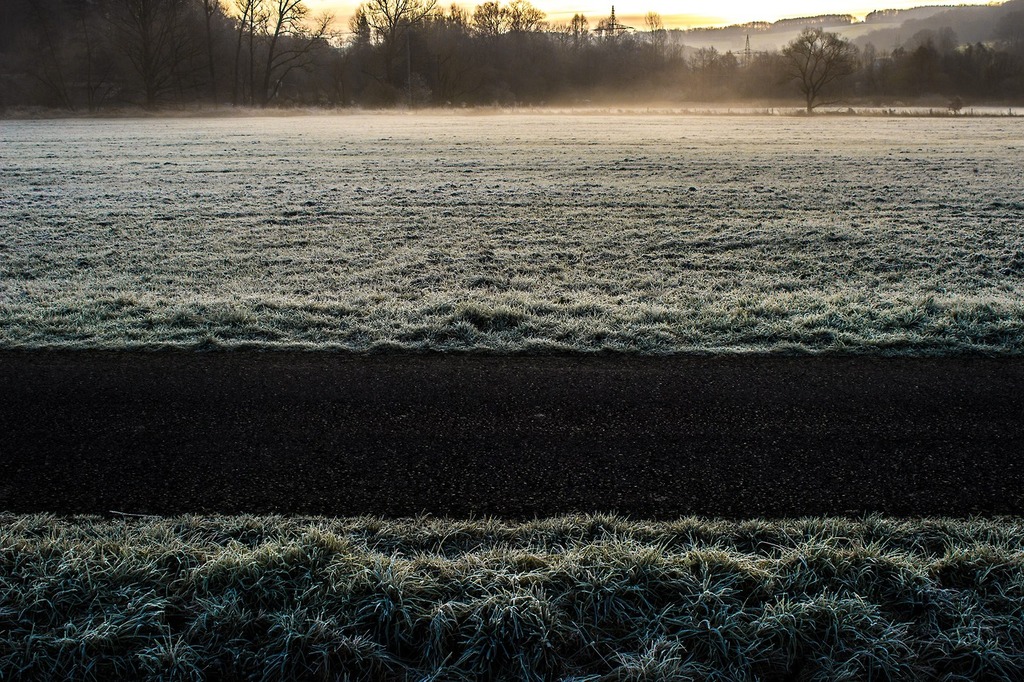 Misty morning grass field