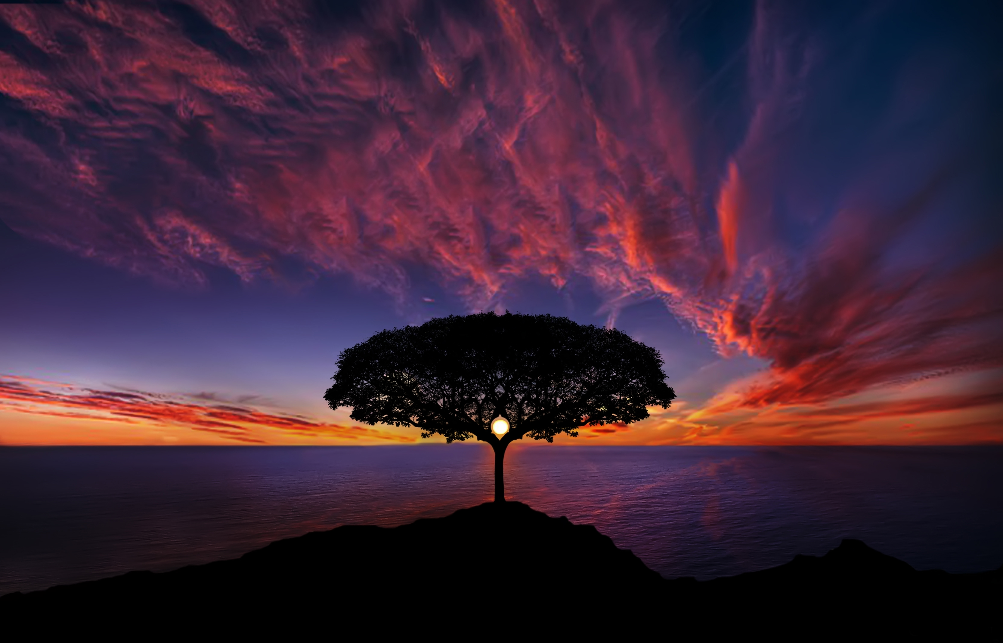 Tree In Sunset | High Resolution Photography