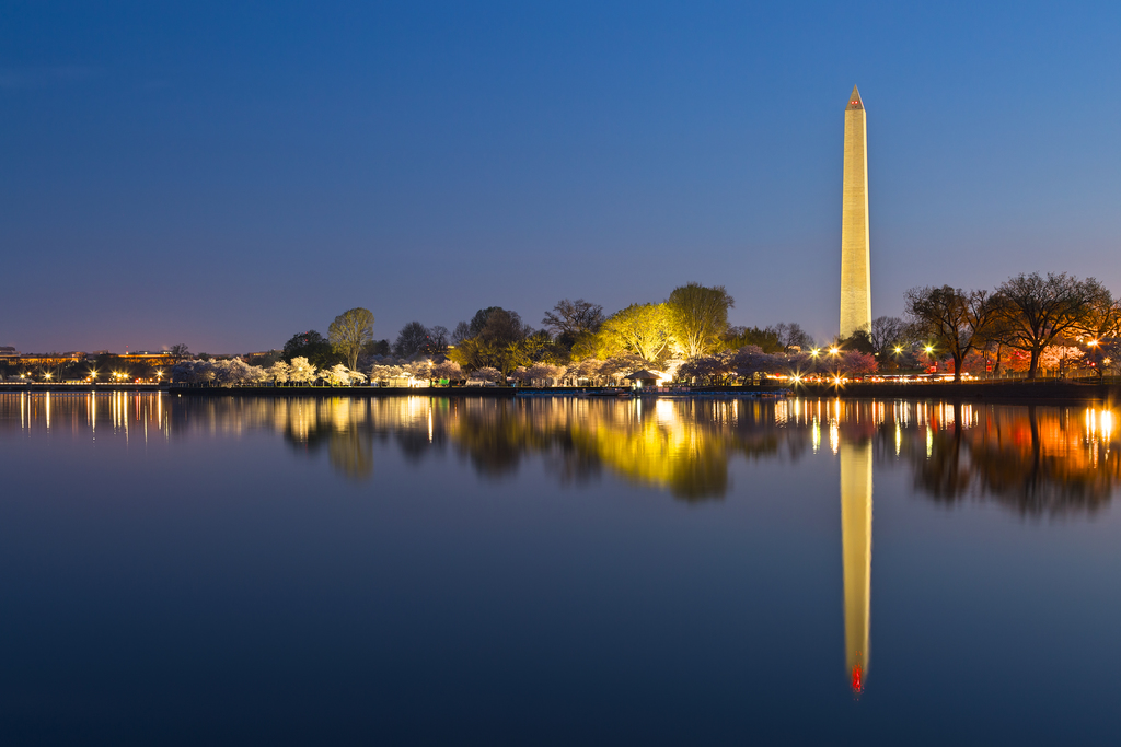 Washington DC Dawn Monument